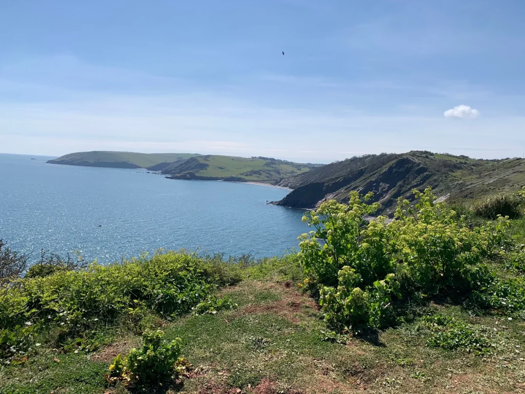 Sharkham Point Devon