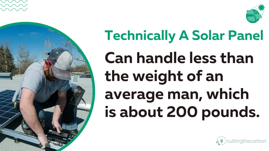 How much weight can a solar panel hold?